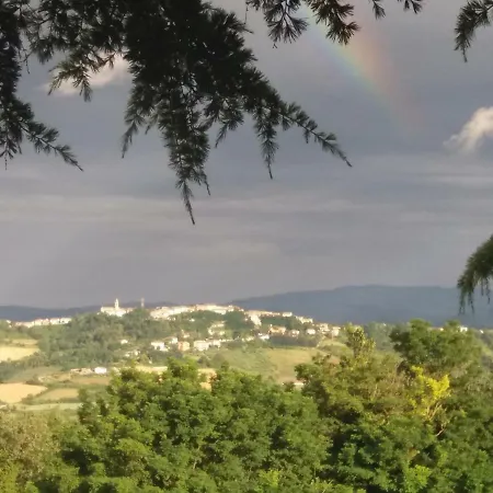 Casa Legno E Lana *
