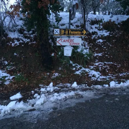 Casa Legno E Lana *