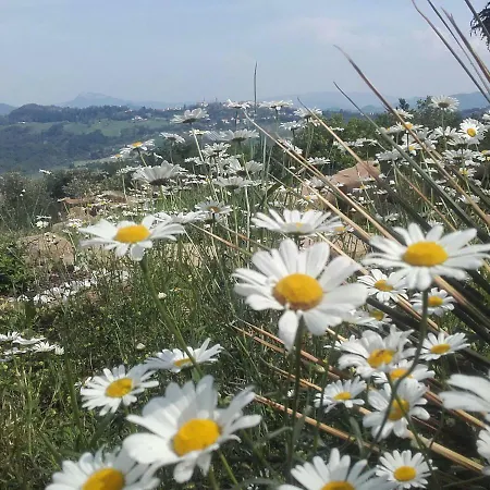 Casa Legno E Lana Ferienhaus Sogliano al Rubicone