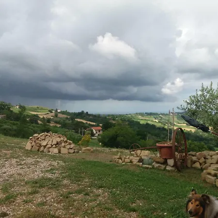 Casa Legno E Lana *