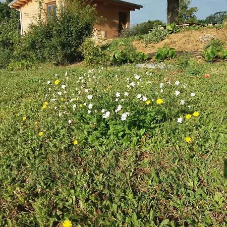 Casa Legno E Lana *